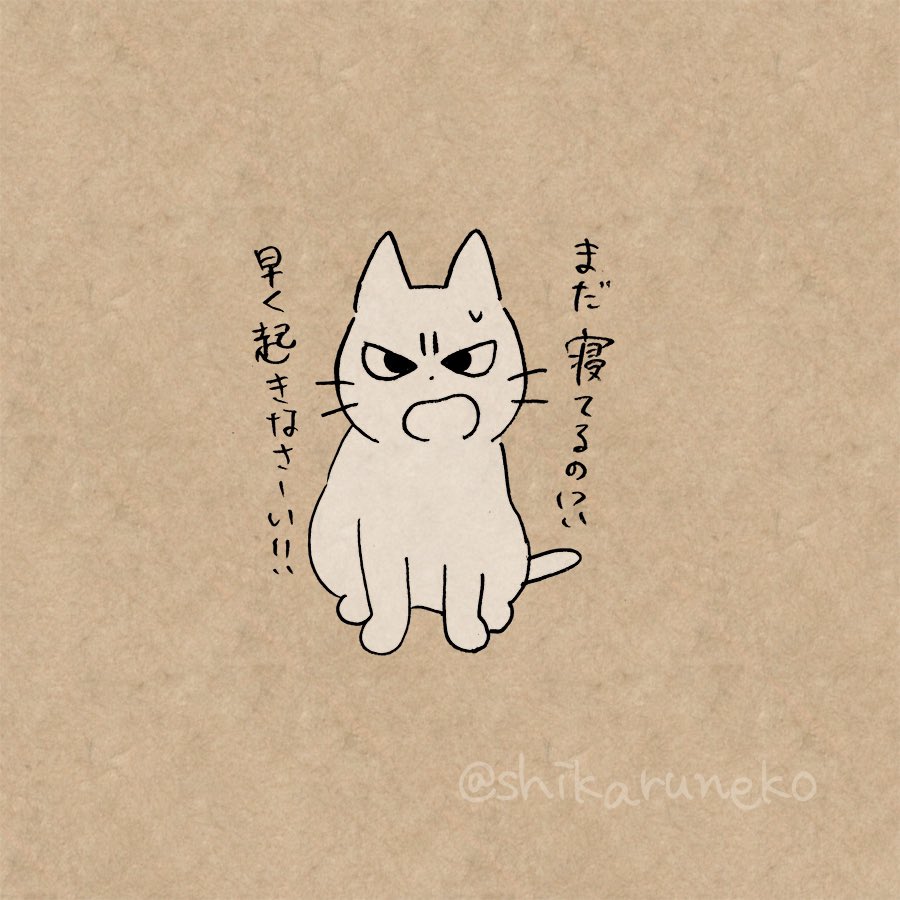 布団が心地良すぎて出られない人と、しかるねこと、あまやかすねこ 