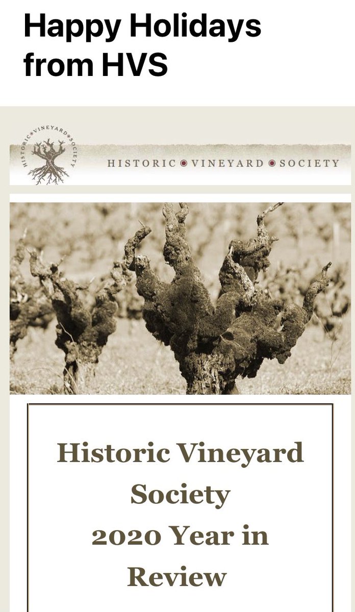 zinfandelhooks's tweet photo. This is a great organization that is carrying on the history and mystery of Zinfandel. They have a cool logo and some decent swag if you support them. @TheZinfandelOrg @Timfishwine @NWTomLee https://t.co/vWglY08imA