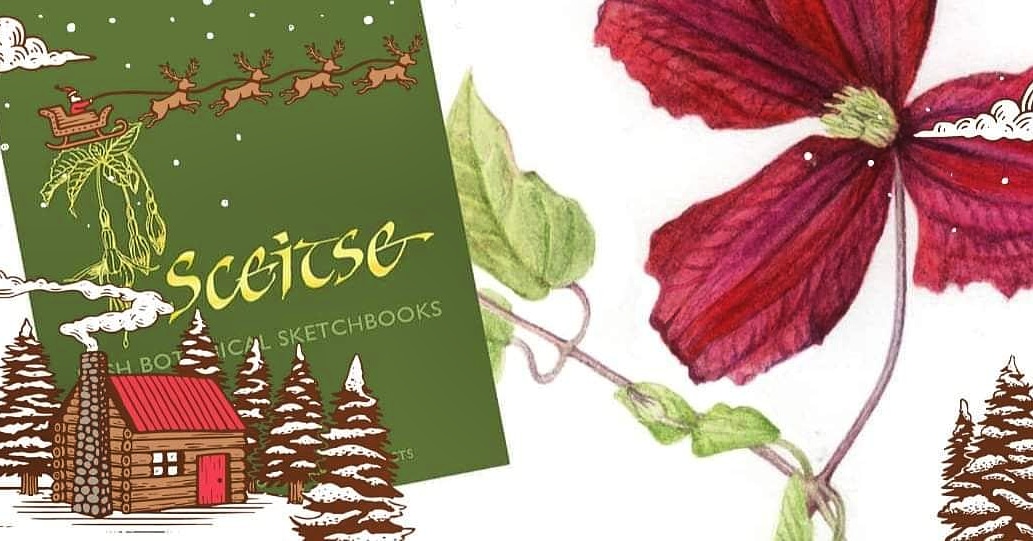 IrishBotanical's tweet photo. Happy Christmas everyone,  from the Irish Society of Botanical Artists! https://t.co/TkSGWiRATp
