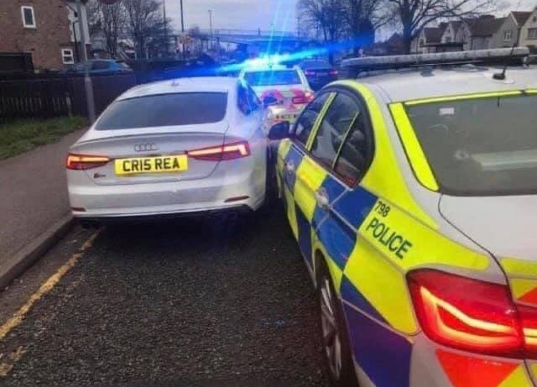 Swearing Travel News tweet media