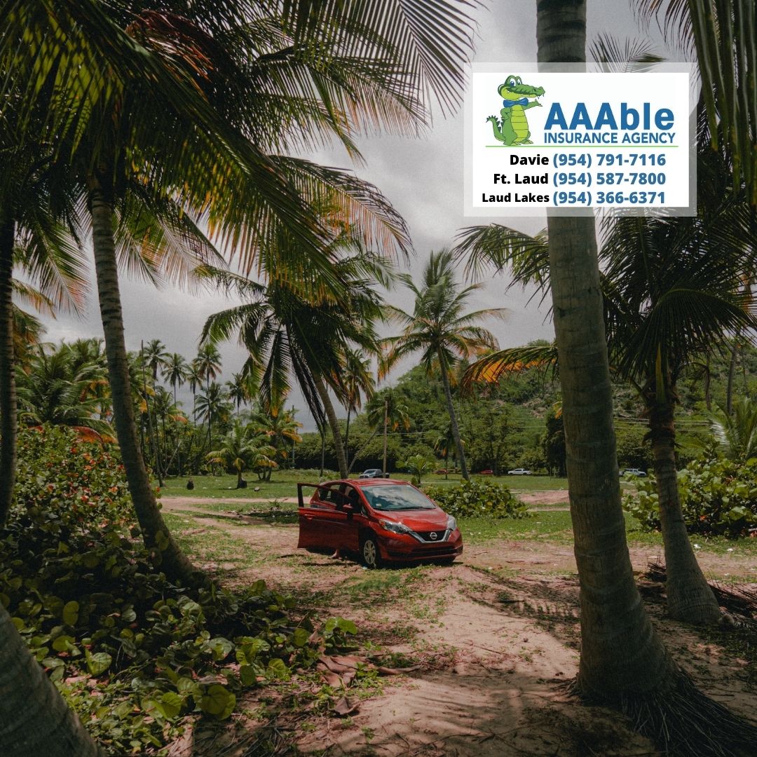 AAAbleInsurance's tweet photo. Even on the road less traveled, we got you covered. Call us today to request a quote!
#homeownersinsurance #autoinsurance #autoregistration  #highriskinsurance #uber #motorcycle #RV #rentersinsurance #employeecomp #businessinsurance #broward #Davie #LauderdaleLakes #ftlauderdale https://t.co/RnzbpbOnZV