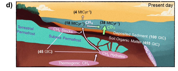 Fast forward to today. Researchers estimate that the Arctic shelves contain about 560 billion tons of carbon stored as organic matter and 45 billion tons of methane trapped in hydrate form (locked in ice). That is more carbon than all cumulative human emissions. 5/n