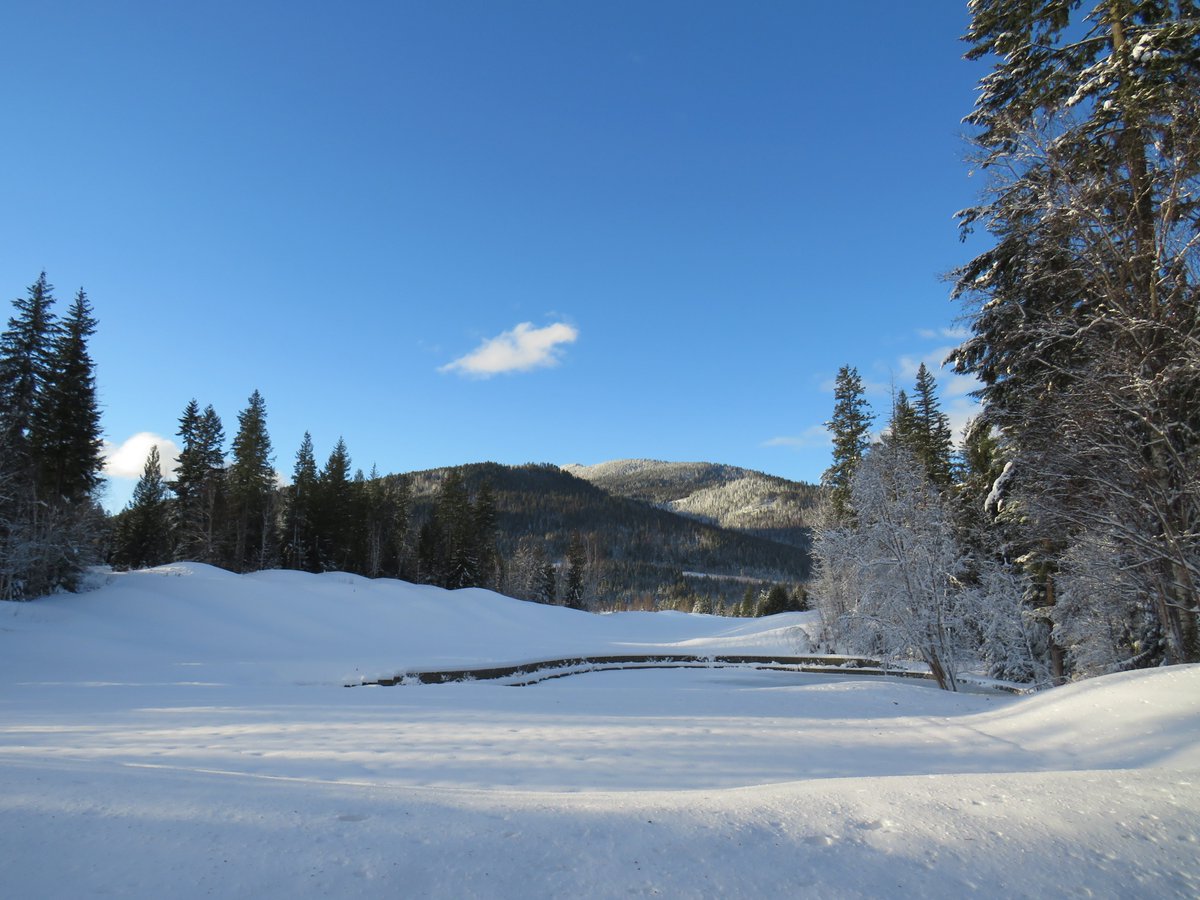 It was the #WinterSolstice & the first official day of winter yesterday. And right on cue, we are again a winter wonderland! #winterishere #snowtime #ChristmasIsComing #winter2020 #winterworld #snowscape #winterland #winterwonderland #outdoors #hellowinter #SalmonArm #Shuswap