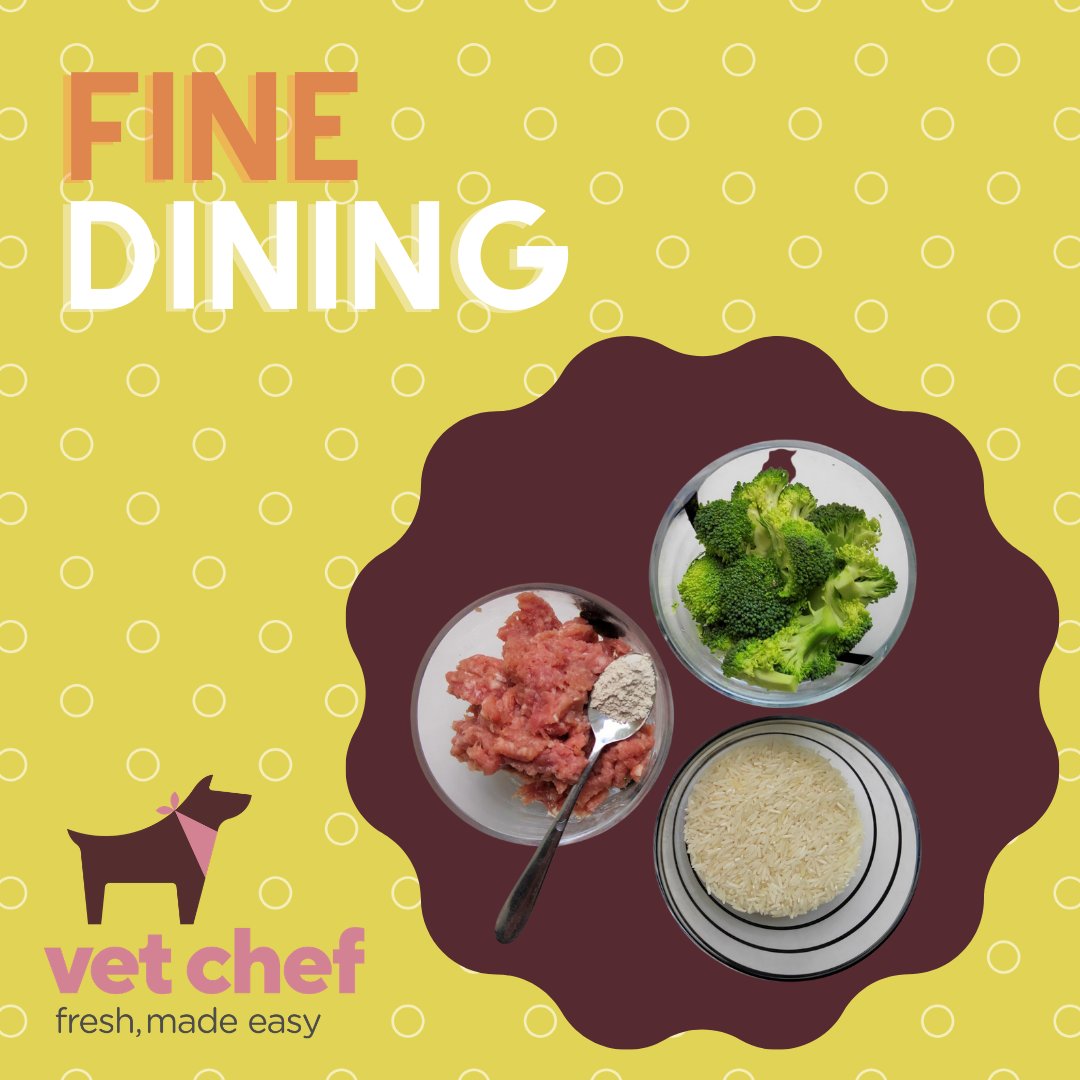 VetChef's tweet photo. Another wholesome recipe your dog(s) will love is this turkey, broccoli and rice dish.
This simple recipe literally takes a couple of minutes to prepare, around 10-15 minutes to cook, and then waiting for it to cool before serving.
#vetchef #freshfeddogs #homecookingfordogs https://t.co/Bz9wYOULRU