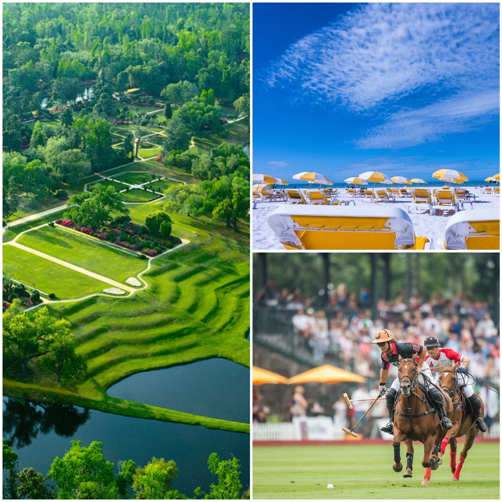 MapTitan's tweet photo. Trending cities this week 🏙️ 

1. Charleston, SC
2. Clearwater, FL
3. Greenwich, CT

Which place would you want to live in?

#trending #cities #city #charleston #sc #southcarolina #clearwater #fl #florida #greenwich #ct #connecticut #garden #beach #polo https://t.co/wrqM5KC7H4