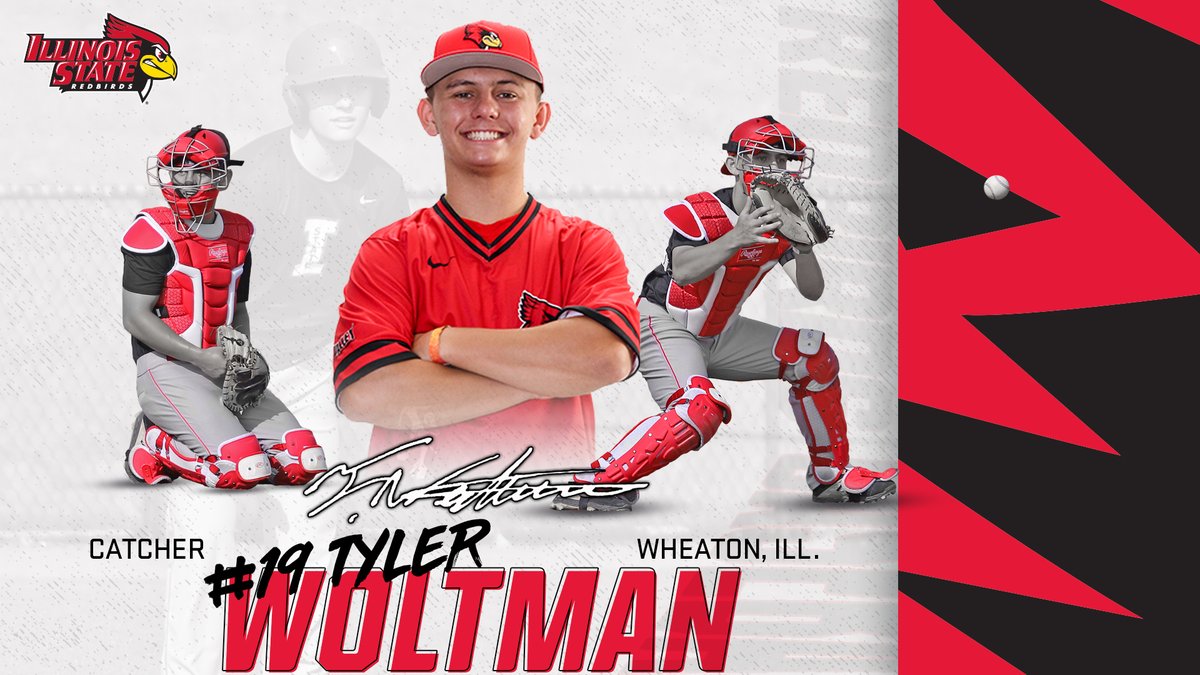 ⚾️Redbird Rookies!⚾️

Introducing #19, freshman Tyler Woltman (@woltman39)!

Tyler is a catcher from Wheaton, Ill. and Wheaton North HS.

#REDBIRDbaseball // #BackTheBirds