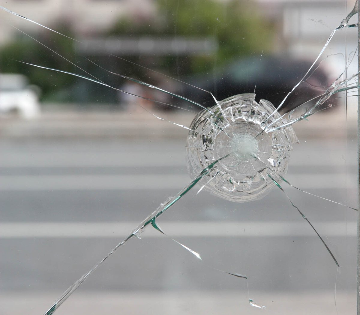 frank_shuff's tweet photo. Make 1st Quality Glass your first choice for any of your Auto Glass Repair needs. Call us today at 1(928) 295-6253  for more information! #AutoGlassInstallation #AutoGlassRepair https://t.co/XNv2uE1fXR https://t.co/ulna1Peio3