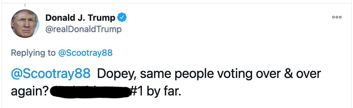 ...now, this one is hard to edit so that it blocks that this is about someone who Trump supported. So, there's that hint. But it is also a reaaallly tough one. It includes another old faithful: People voting over and over. One point for the year, THREE points for the race..../10