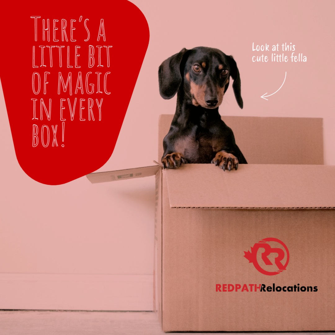 Redpath_Relo's tweet image. Need boxes for your next move?

The proper preparation is essential to the success of your move. Whether you are moving or getting ready to store your stuff, we have the packing supplies that you need.

redpathmoving.com/services/packi…

#RedpathRelocations #movingBoxes #packingSupplies