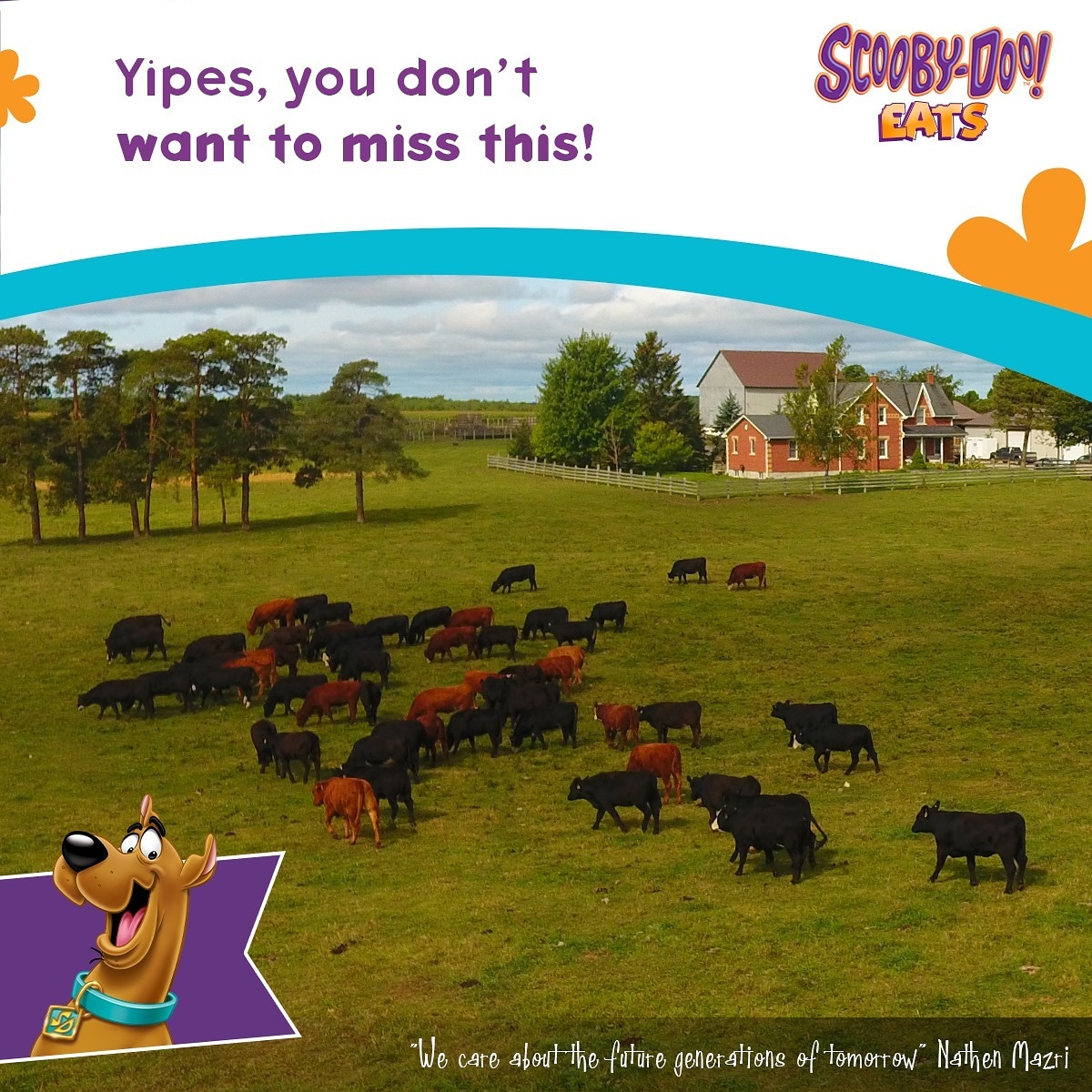 Scoobyeats's tweet photo. #Entergaging foodΒ
At Scooby-Doo EATS, we care about the healthy habits of the future generations of tomorrow. #eat #farm2plate
The vision of #Scoobydooeats is to stay and grow for 25 more years along with #WarnerBros and our valued #farmers supporting our mission. #zoinks https://t.co/M7SjCTeFiE