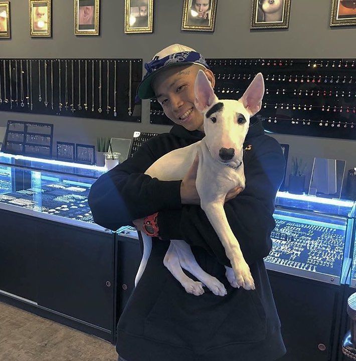 。　☆ 。　   ☆。　   ☆ ☆。　＼　　 ｜　　  ／。　☆     if loopy    is ur comfort person  click on this, u won’t regret it  ☆。　／　  ｜　　＼。　☆ 。　 ☆。 　　 。　　☆。