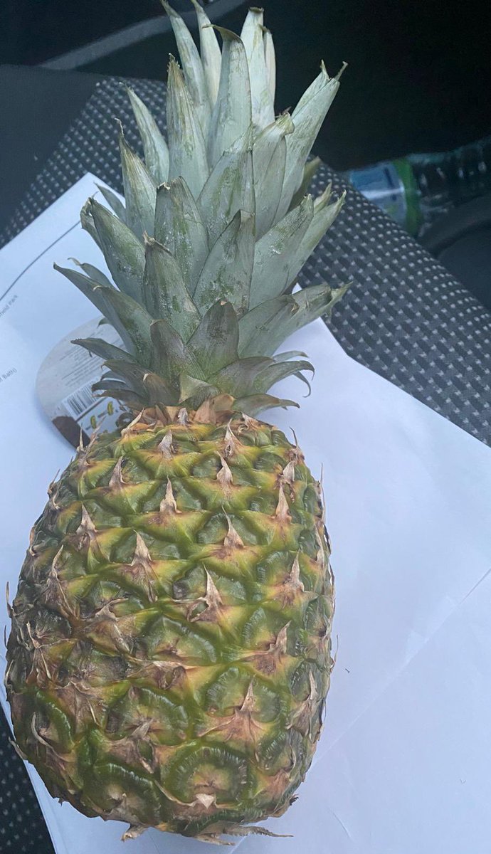 Moss of Bath tweet media