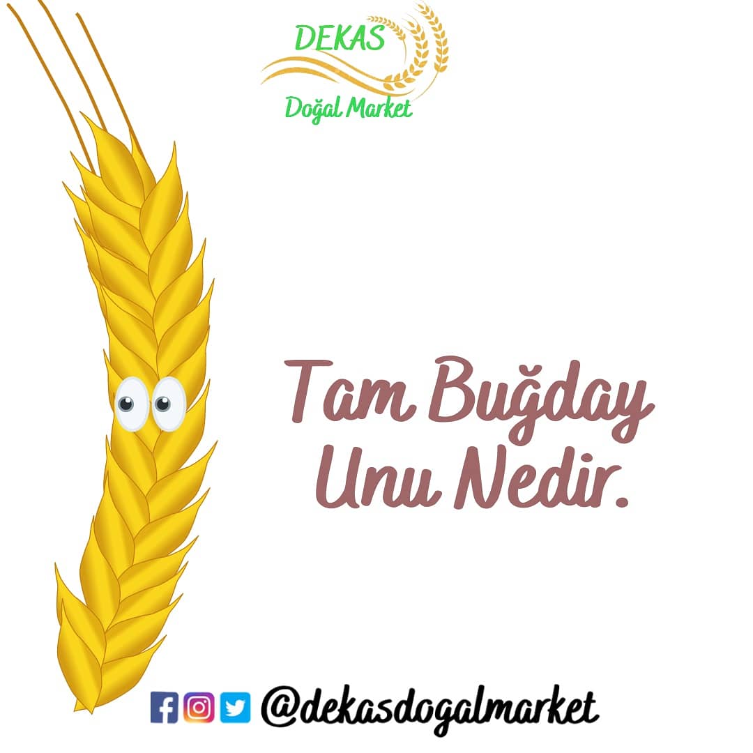🌾 Tam buğday unu, buğday tanesinin bütün bileşenlerini içeren undur. Yani endosperm kepek ve ruşeym 3'ü 1 arada.