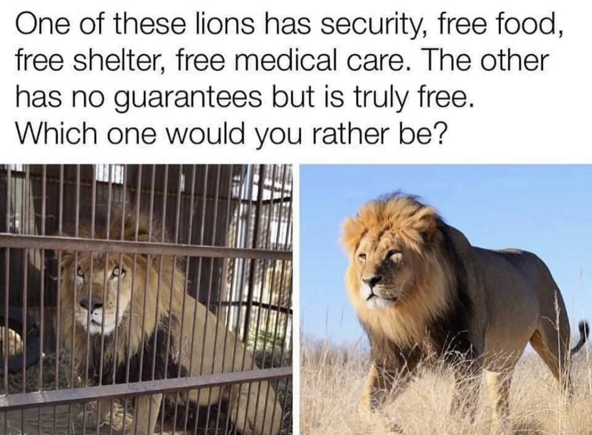 Merica.