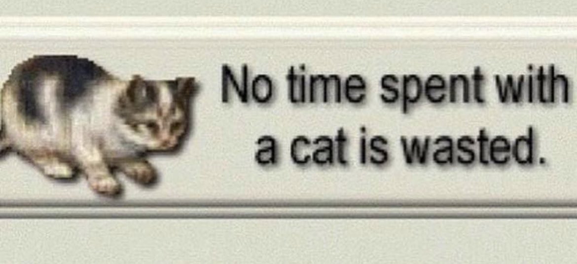 RespectfulMemes's tweet photo. https://t.co/DkENAjDmyV