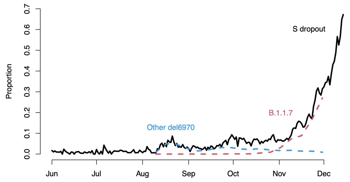 Here, I'm borrowing a figure from the recent  @PHE_uk technical report ( https://assets.publishing.service.gov.uk/government/uploads/system/uploads/attachment_data/file/947048/Technical_Briefing_VOC_SH_NJL2_SH2.pdf) showing a dramatic increase in proportion of tests with "S dropout" indicative of a variant case. 10/17