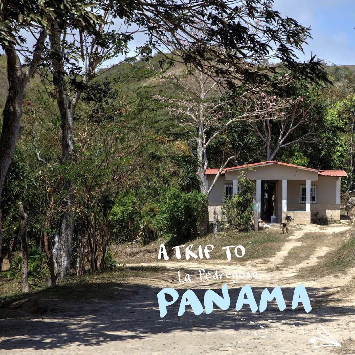 EWBNEU's tweet photo. And last but not least... learn more about La Pedregosa, Panama 

Thank you to those of you who supported us on 2020’s Giving Tuesdays. Your help is always needed and so greatly appreciated! On behalf of EWB-USA NEU, we want to wish you a very safe and happy holiday season! https://t.co/k4ZrzThjl0