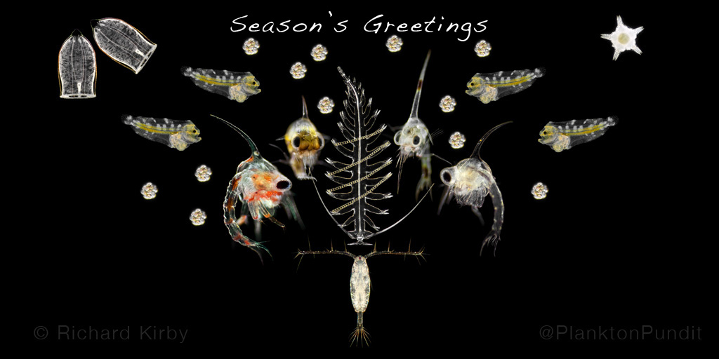 PlanktonPundit's tweet photo. A festive gathering of plankton. Seasons greetings to everyone 🎄

Xmas tree: Tomopteris Helgolandica
Decorations: Diatom chains
Carol Singers: Crab Zoeas
Conductor: Copepod 
Audience: Fish larvae
Bells: Hydrozoan
Snow: Coccolithophores
Star: Echinoderm

@zeiss_micro https://t.co/hyrVO0Kkrq