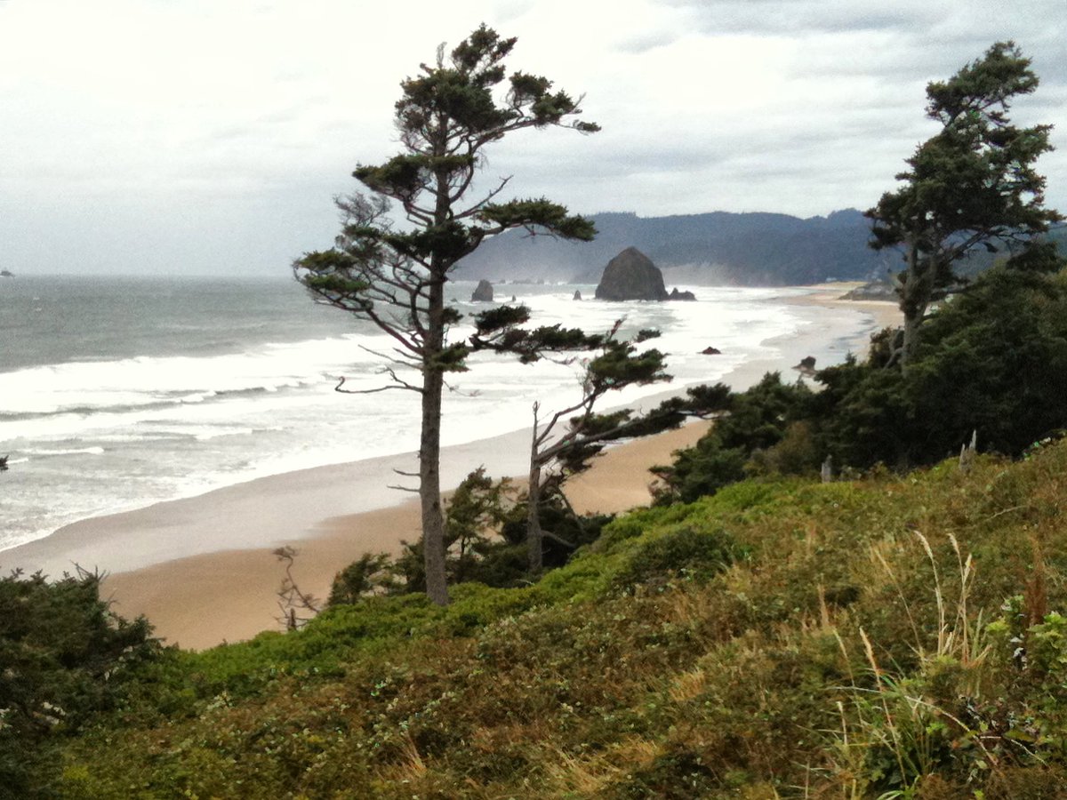 theco2company's tweet image. PNW❤️
Canon Beach Oregon

#TheCO2Company #cleancannabis #the_co2company #pnwstoner #activestoners #productivestoner #smokespot #TheCO2CompanyVibes
