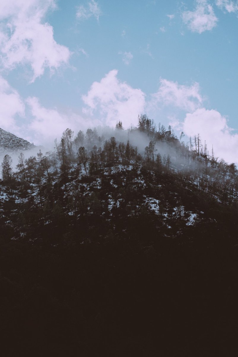 domguinnane's tweet photo. Some photos from Yosemite last year. Winter is finally here! Make sure you stay warm! ☃️ #yosemite #bayareaphotographer https://t.co/tfDjdpP3MP