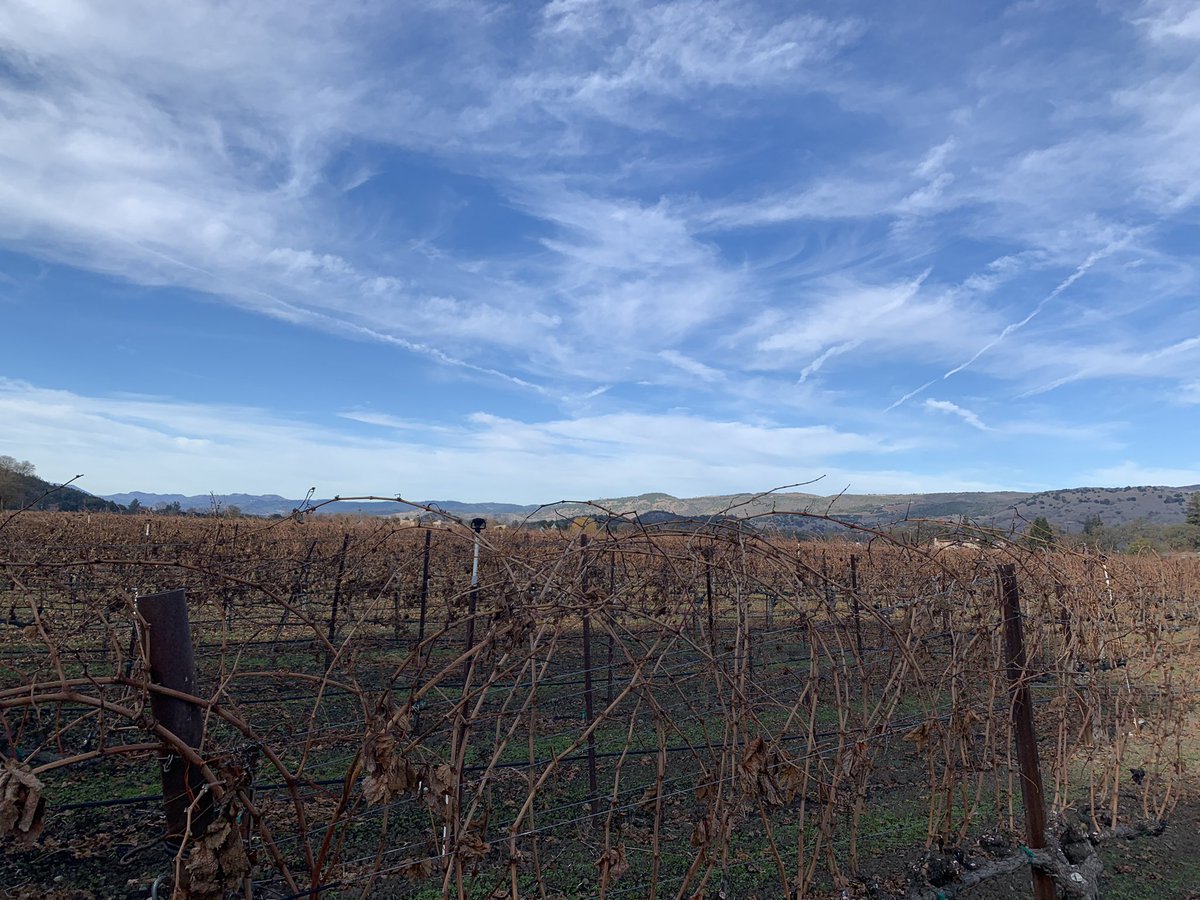 Hopefully we will be able to see everyone again soon here in Napa Valley! #napa #napavalley #winetasting