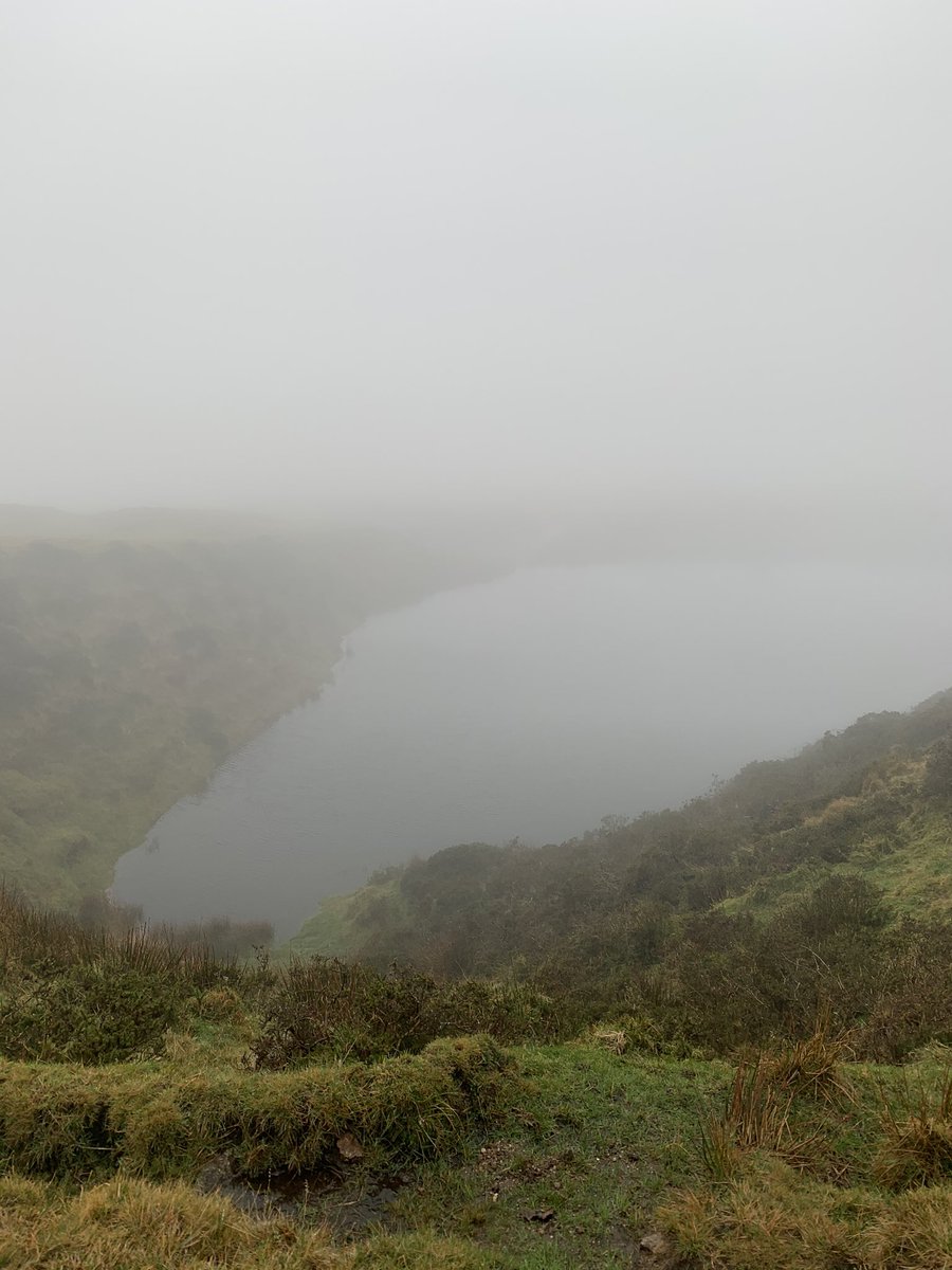 EMILY4EVEREVER's tweet photo. Today’s walk didn’t have the best views, but it meant we discovered a new place we didn’t know was there. #Dartmoor #CrazywellPool https://t.co/DpUn4X0r63