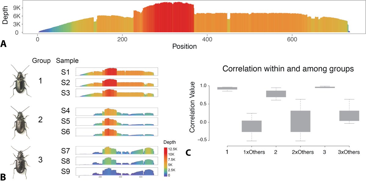 New in Molecular Ecology Resources: A new tool just out to help illuminate the dark regions of genomes.

Introducing 'RepeatProfiler': a pipeline for visualization and comparative analysis of repetitive DNA profiles.

Link to study → buff.ly/3aEMgXg