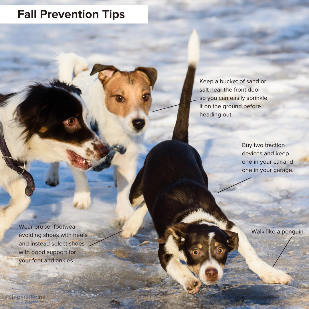 StepAndSpine's tweet photo. It is super easy to find places to slip and slide outside - especially in the early morning and evening. These tips will help keep you upright and pain free. Please use them. https://t.co/fJoVybuRKp