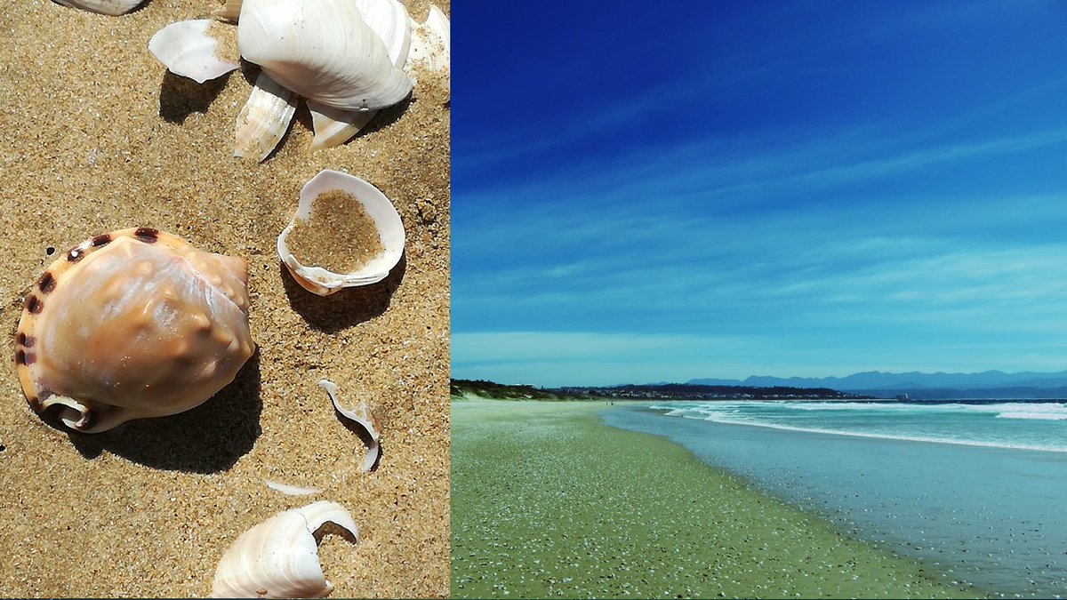 PropertyShowDay's tweet photo. SAVE PLETT: @CyrilRamaphosa @DlaminiZuma Anyone who has lived in Plett for a few years or holidayed there for years knows that Plett is dependent on the 6 weeks trade in Dec/Jan for survival! #SavePlett #plettitsafeeling #MeetOurSouthAfrica https://t.co/PRnbRqq7LF https://t.co/7XbBT3usdm