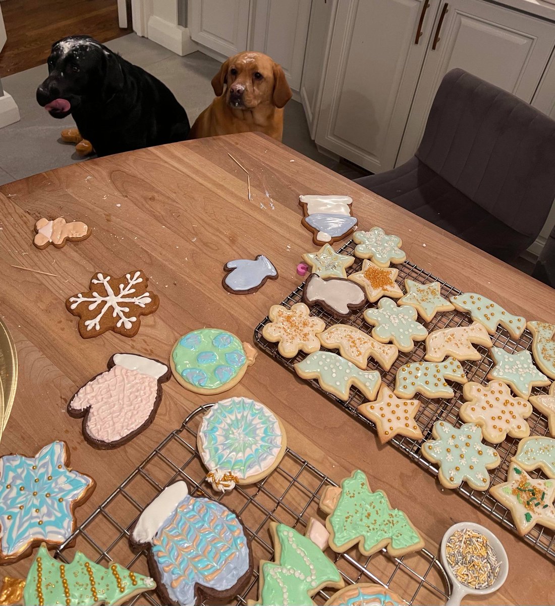 Oh no, you’re missing cookies! 
 
Oh my stars!
 
Wait… why are you looking at us?? 🍪