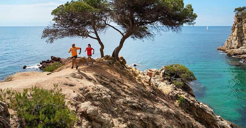 XCNatura's tweet photo. #ComunitatUCM

...pensant reptes pel nou any que comença?🤔

🙋‍♀️La Comunitat @UCMarathon presenta un nou repte pel gener: participa a la cursa solidària Protecting Home i col·labora en la protecció dels boscos madurs i de la Costa Brava!

▶️+ info: https://t.co/gl0ohw0KnW https://t.co/1ZW0Ukm1gR