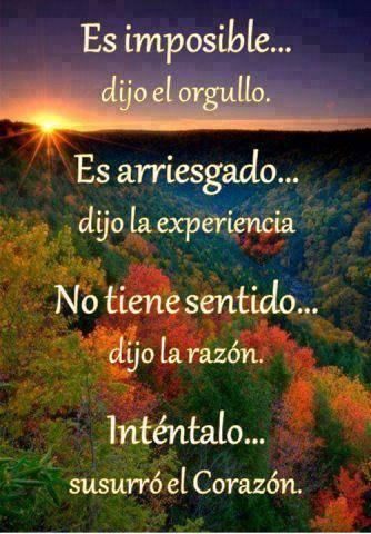 🌥️ #ReconciliacónYPaz
🍁 #DisciplinaAnteElCovid19
💠 @DBloncar
🍂@Carmen197013 
🌥️@MaritamendozaR 
🍁@MoraimaMartine5 
💠@Yoseleidy3 
🍂@PInsomne 
🌥️@CarlosG86569847 
🍁@Mercede718 
💠@RonaldJoseFlor1 
🍂@JoseS01104226 
🌥️@gilbertomangog 
🍁@eduardcor1 
💠@ValientPrinc