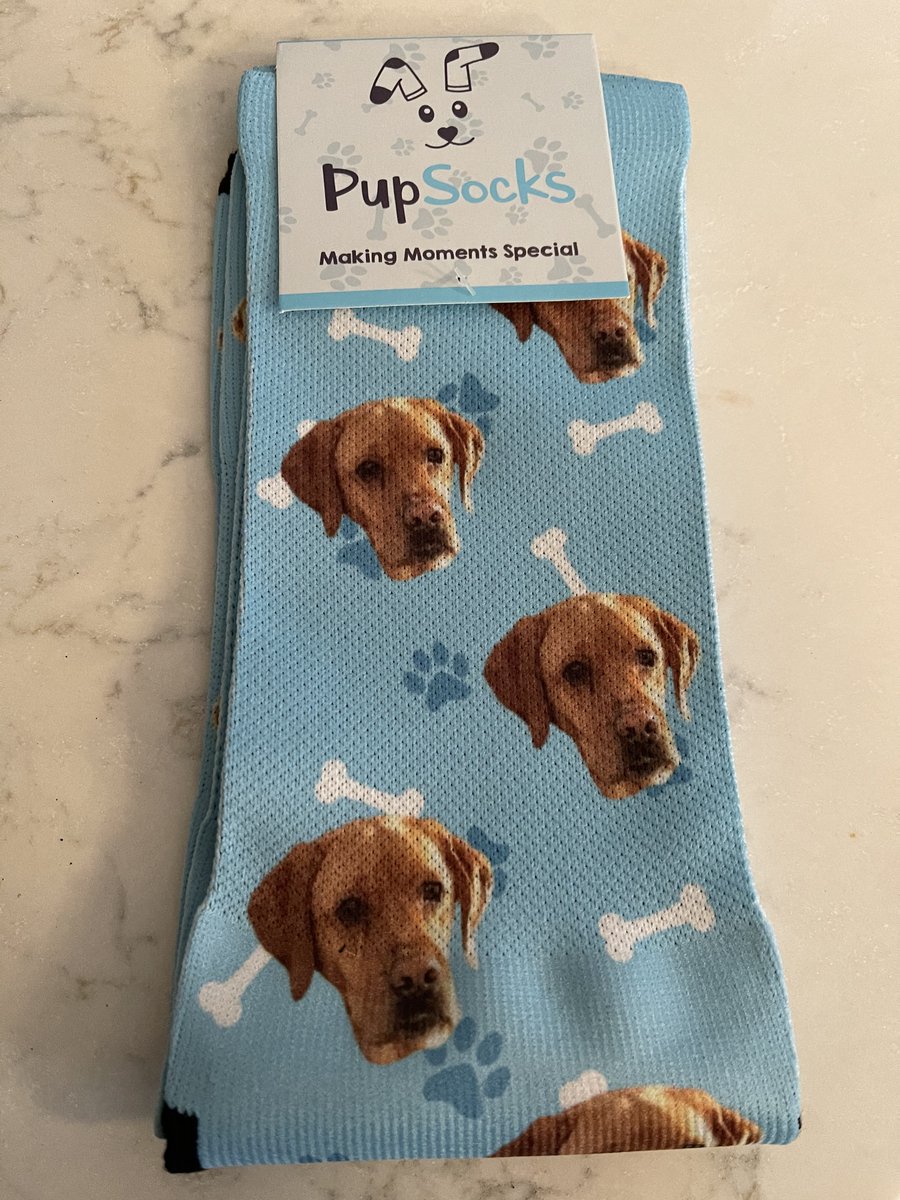 Merry Christmas, Dad! 🥰
 
Like the gift I got ya? 
 
<a href="/erinotoole/">Erin O'Toole</a> 😏 🐶