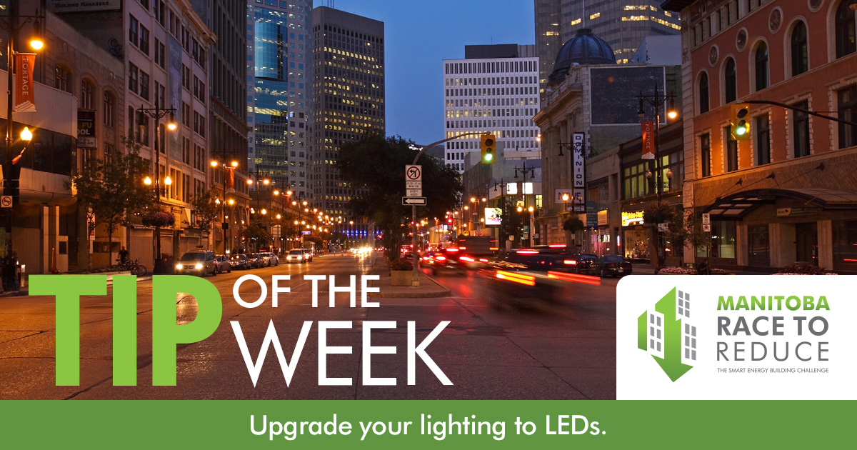 MB_Race2Reduce's tweet photo. From Christmas lights to desk lamps, shine a little brighter with LED bulbs. 💡 LED light bulbs are more energy-efficient, dimmable, last longer, take up less space, and produce almost no forward heat. https://t.co/sgldL8oysX