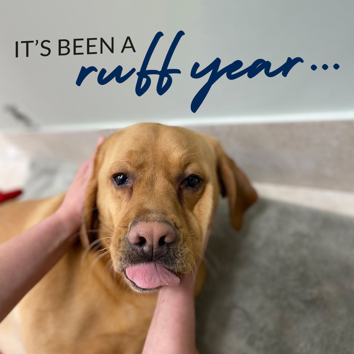 It’s been a tough one, friends. 
 
But 2021 is just around the corner and we’ve got this!