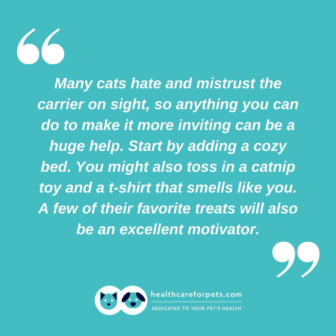 HealthCare_Pets's tweet photo. #TipTuesday: Making the carrier more inviting for your cat.

For more #tips on travelling with your cat in a car: https://t.co/QbAYZ7Xw2C
.
.
.
.
#cattips #cartravel #cartraveltips #catcartravel #catsafety #catbehavior #cattraining #catcarrier #felinecarrier #pettravel #cattravel https://t.co/m1QR9pPOdM