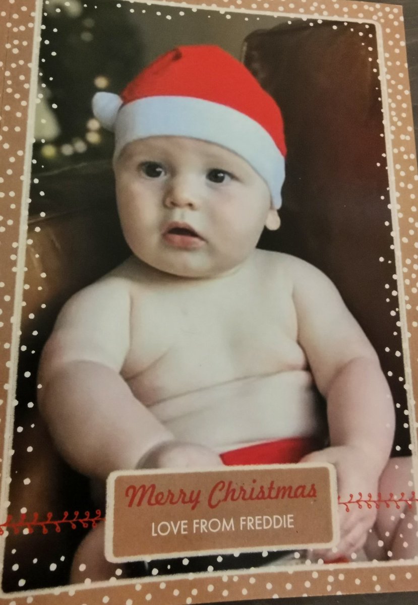 annewillia's tweet photo. It's not such a bad Christmas for me after all🤗🎅💙🎄#Freddie #Australia #chubbychops  #adorable 😍 https://t.co/8hxnmm0CaO