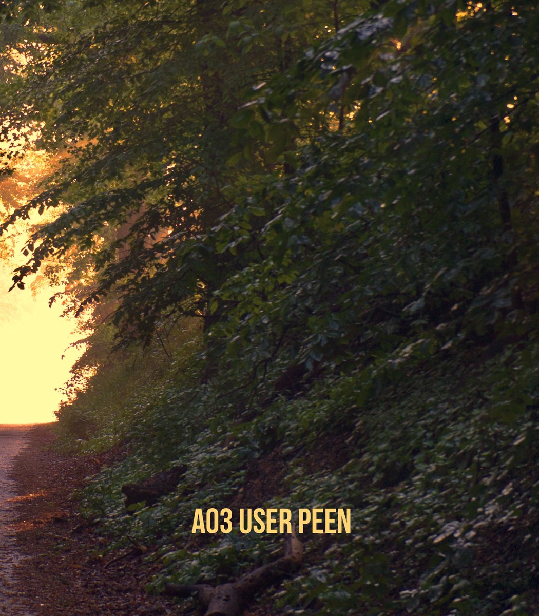 moiving, dm for new @ tweet media