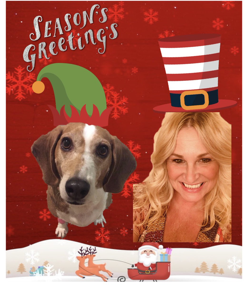 KEPTraining's tweet photo. Season’s Greetings from Cyber the Training Dog and @AnnaKepshire from KEP Training!! May your holiday season be filled with health, peace and love!  #keptraining #kepcyber https://t.co/TuXedqj4Yi