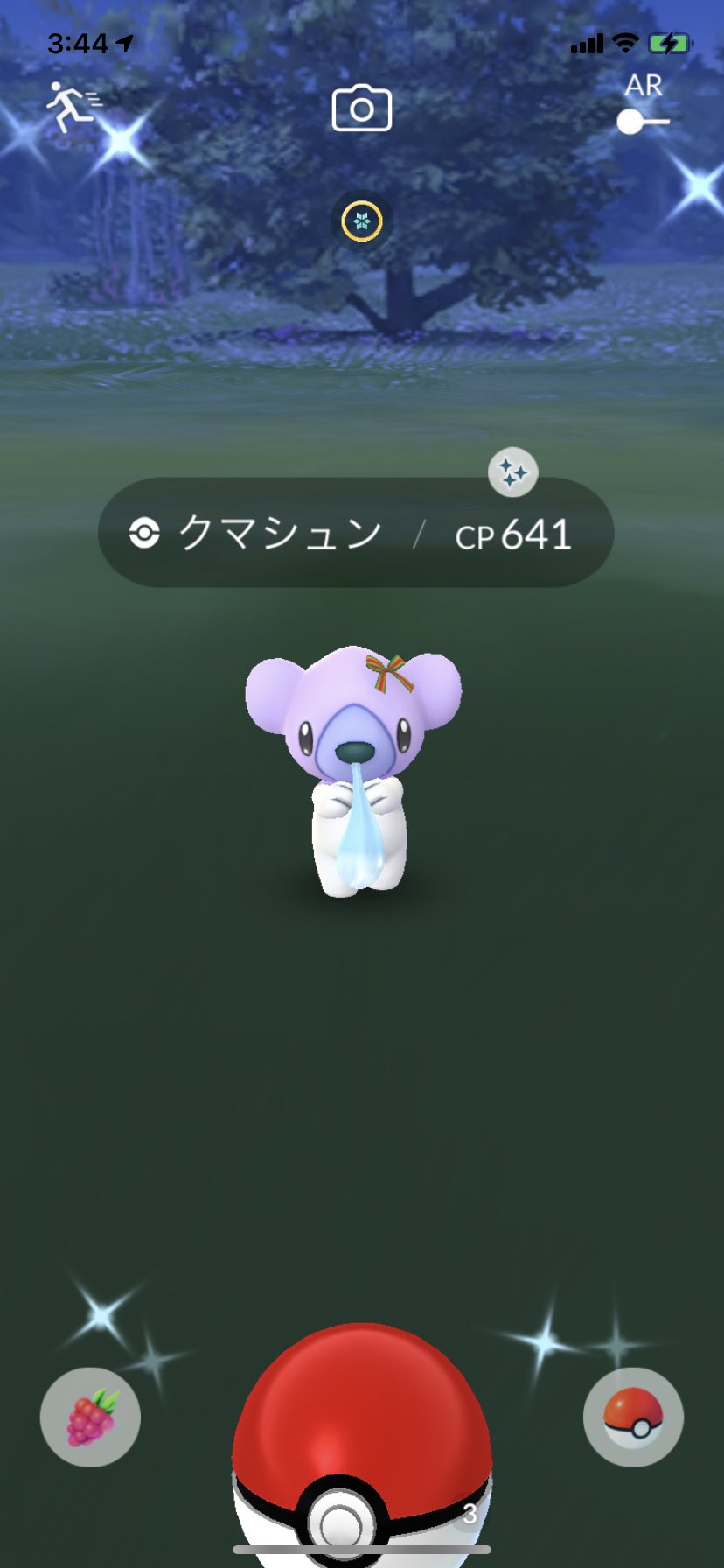 ころせんせ やりました ポケモンgo クマシュン色違い T Co Si408f48ky Twitter