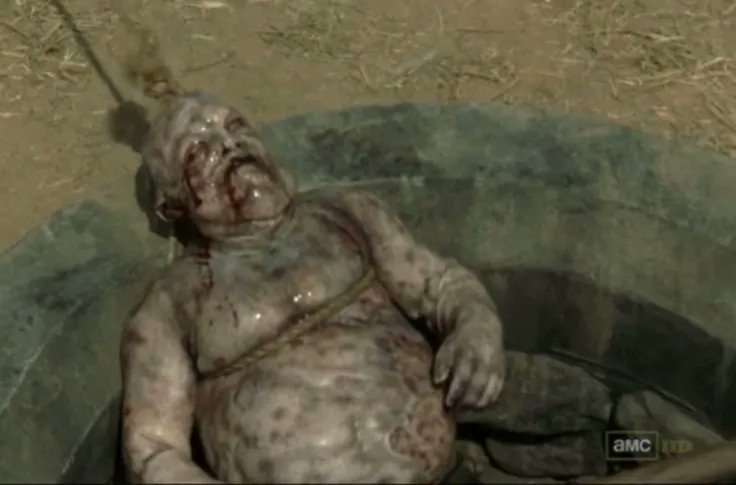 TWDInfinite's tweet photo. Me after I accidentally binge an entire season of Walking Dead in the bath. #TWD #WellWalker #TWDFamily https://t.co/jlIDrUWmsf