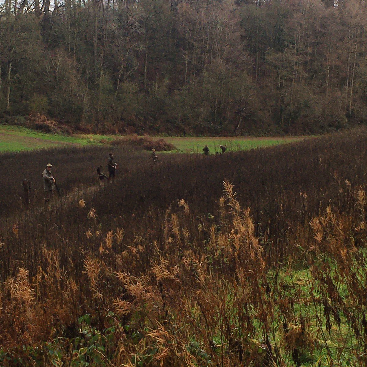 nicdav's tweet photo. A great day #inthefield at #shirletthighpark #shropshire #shooting #pheasants #partridges and #ducks
#gunsonpegs #peglife #drivengame #gameshooting https://t.co/TxBeUK6Qt2