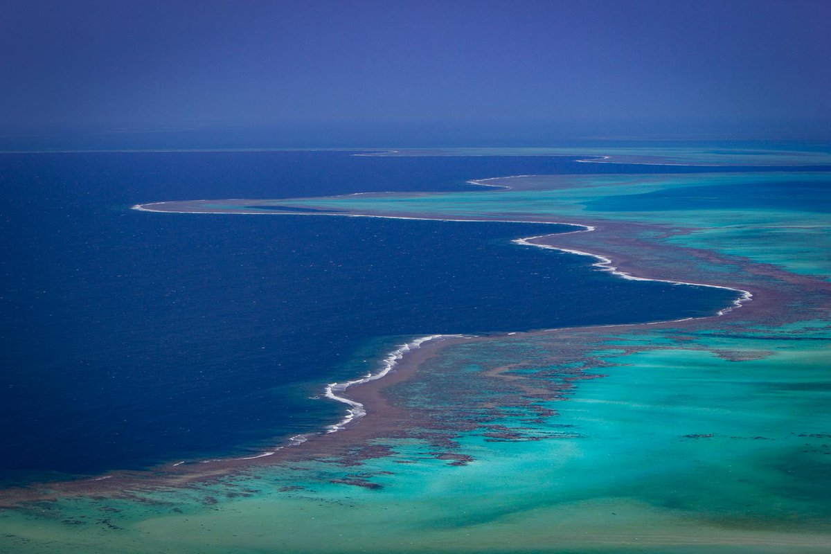 malteclavin's tweet photo. Neukaledonien18/36
I really didn't expect that. I am speechless. On this round flight I am overwhelmed by the beauty of the New Caledonian Lagoon. Tears come to my eyes. This is definitely one of the most beautiful natural treasures I have ever seen. https://t.co/1PP1DLOTw7