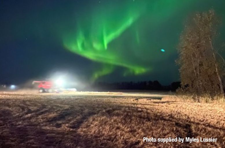 BASFAgSolutions's tweet photo. Having enjoyed consistent results since the InVigor 5050 days, Myles Lussier of #Arborfield SK is the next winner of the #InVigorCommunity Challenge. And thanks to Mr. Lussier’s thoughtfulness, the Tulloch Memorial Arena also wins with a $5000 donation. #WestCdnAg https://t.co/IDol2araAE