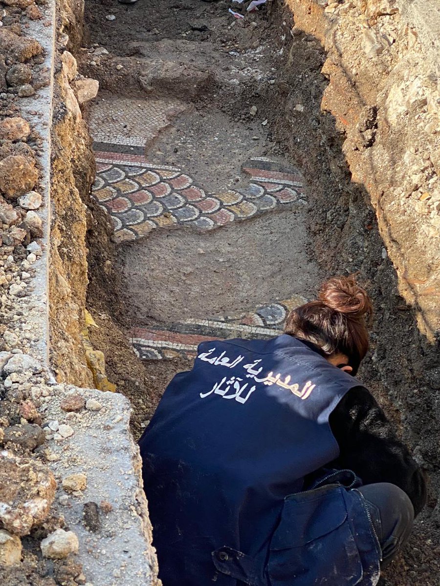 RomanMiddleEast's tweet photo. Mosaics from the #Roman era uncovered in the heart of #Baalbek, Lebanon. https://t.co/ZUJLZEghfz #RomanMiddleEast #Archaeology #RomanArchaeology #Lebanon https://t.co/xiZcmPz1GI