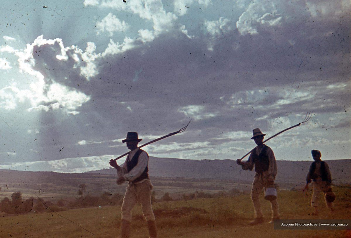 Mężczyźni i chłopiec wracający do domu po całym dniu pracy.
Brzmi jak opis lub tytuł obrazu... i tak wygląda.
Gdzieś w Rumunii, ok. 1948 roku.
 #dawneKarpaty #Carpați (📷 István Szakáts)