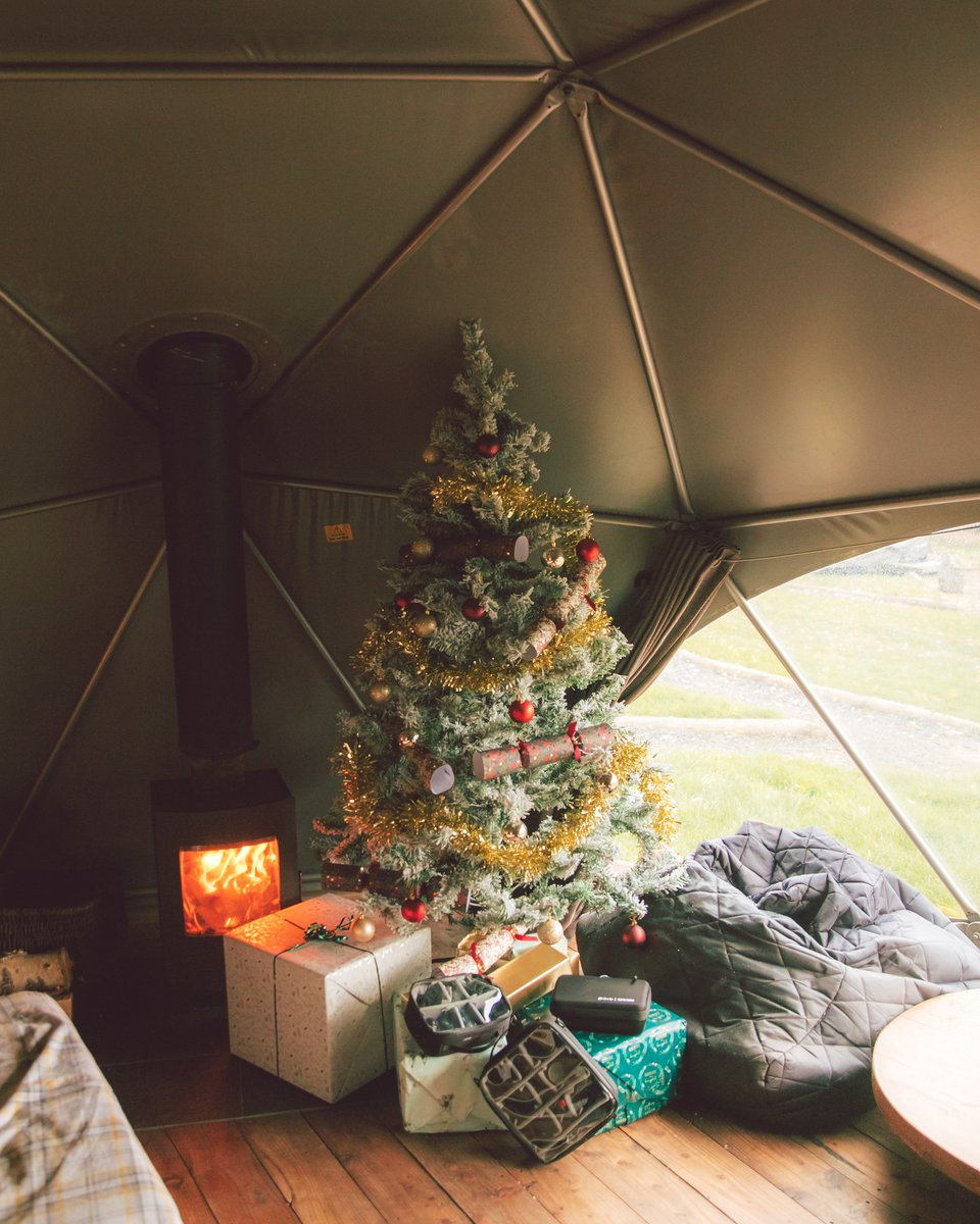 For ages evergreen trees have been a symbol to represent hope and celebration. This Christmas we hope your evergreens, however great or small, are a symbol of peaceful calm and hope for a bright 2021.

Photo by: Luke Cartwright