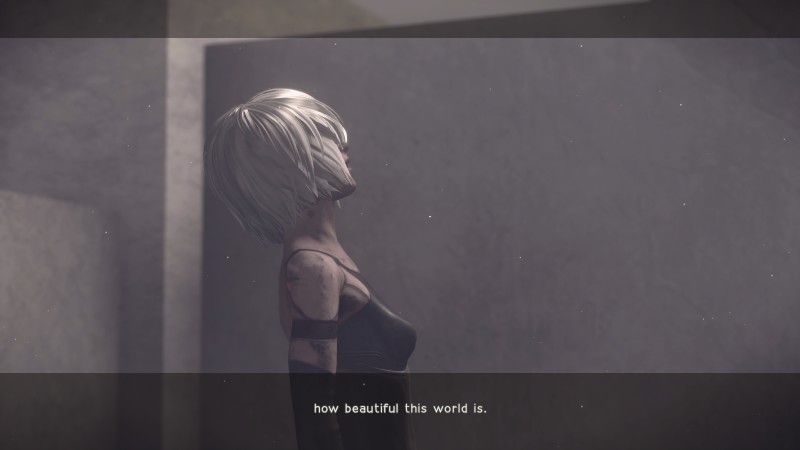 -last lines are in reference to life as a whole. That no matter how ugly her journey had been, she had grown to find this life beautiful. She would protect 9S, who in her memories of 2B was someone she loved, and let him have a new start as she gave her life for it. I find her -