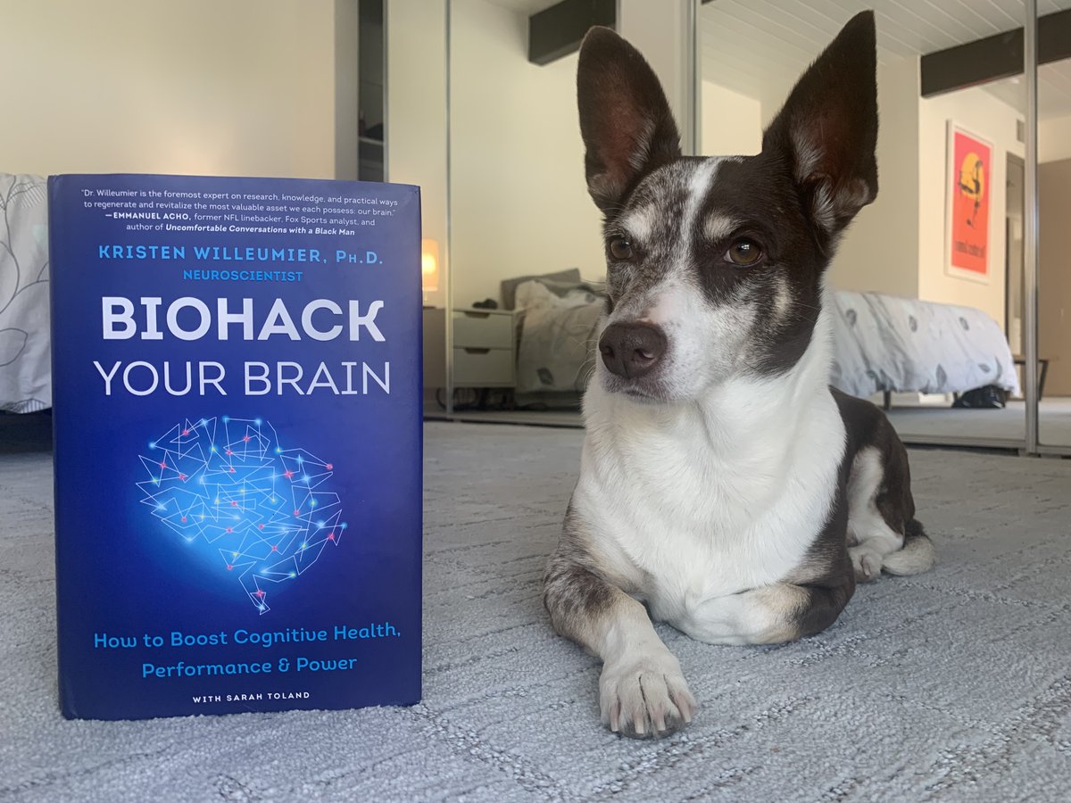 drwilleumier's tweet image. Oscar has received his advanced copy of Biohack Your Brain!  You can learn more and preorder here:harpercollins.com/products/bioha…

#brain #health #biohackyourbrain @HarperCollins @Morrow_PB