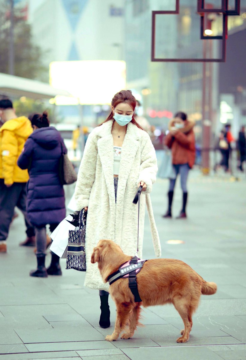 D66888's tweet photo. 「成都街拍」美女加宠物的组合，回头率很高了。 | 摄影拍照 ​​​#街拍 https://t.co/O8jFFefuQX